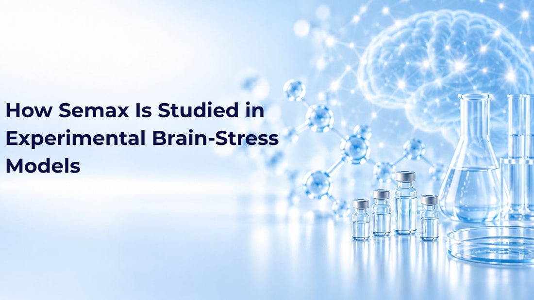 How Semax Is Studied in Experimental Brain-Stress Models
