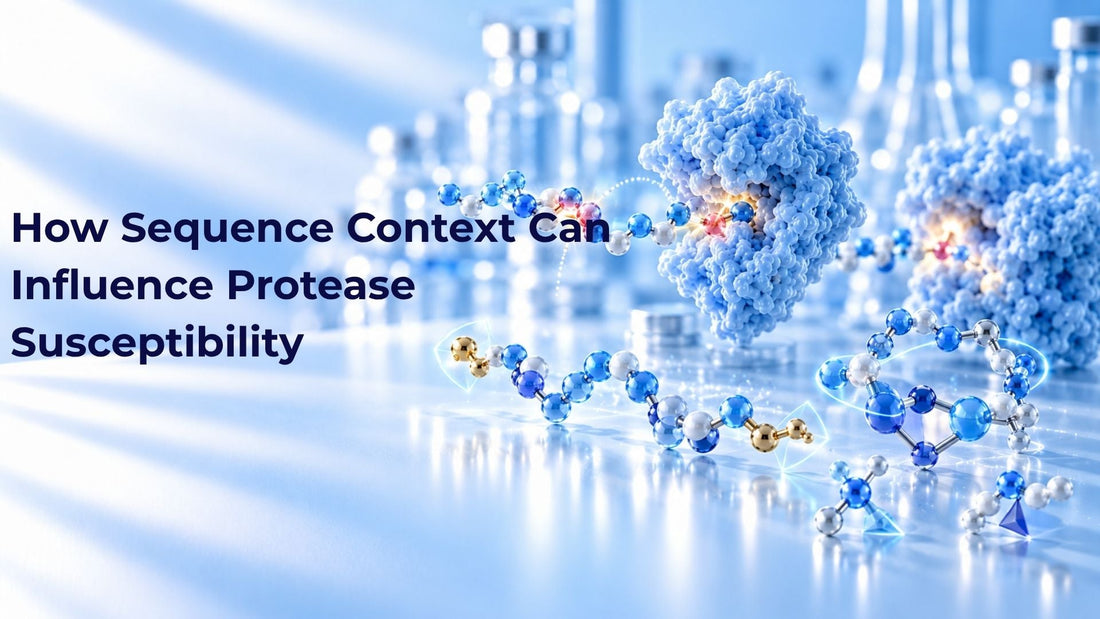 How Sequence Context Can Influence Protease Susceptibility