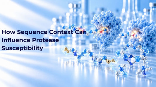 How Sequence Context Can Influence Protease Susceptibility