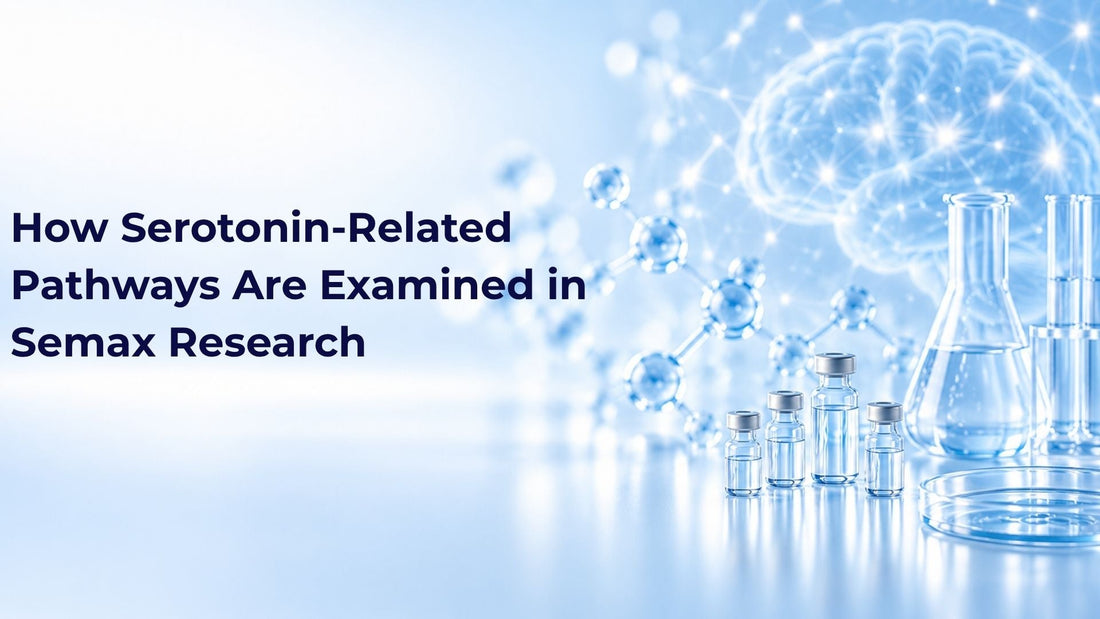 How Serotonin-Related Pathways Are Examined in Semax Research