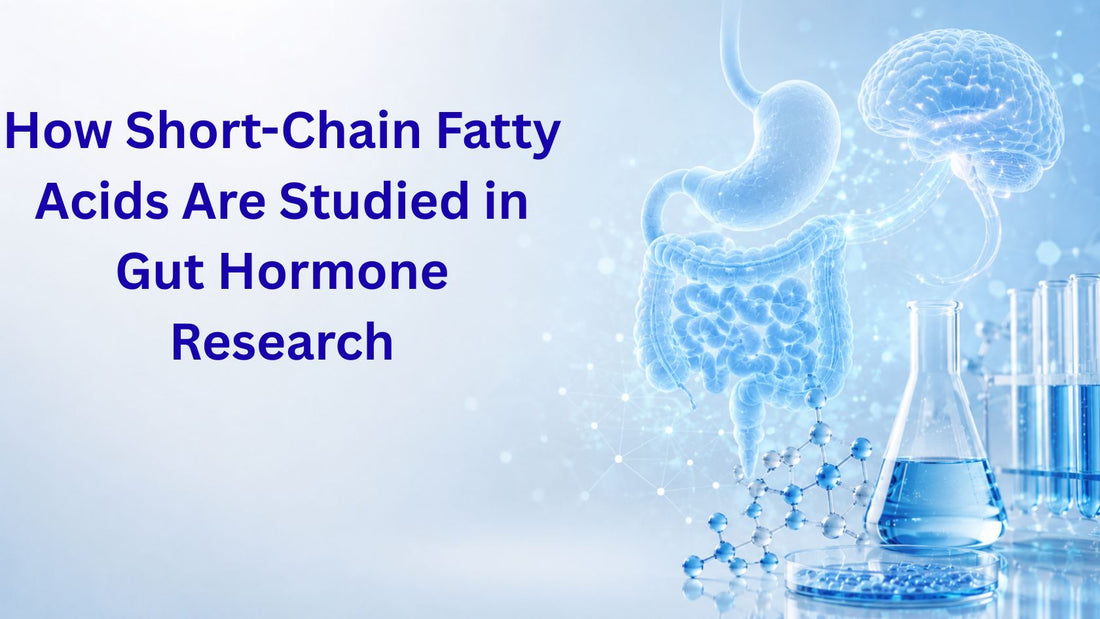 How Short-Chain Fatty Acids Are Studied in Gut Hormone Research