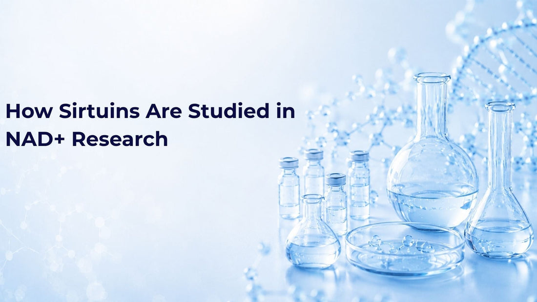 How Sirtuins Are Studied in NAD+ Research