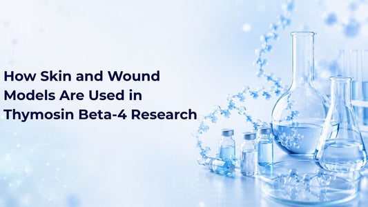 How Skin and Wound Models Are Used in Thymosin Beta-4 Research