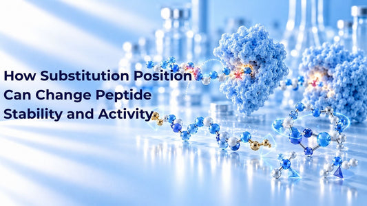 How Substitution Position Can Change Peptide Stability and Activity