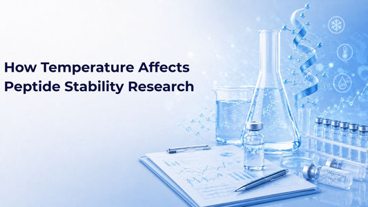 How Temperature Affects Peptide Stability Research