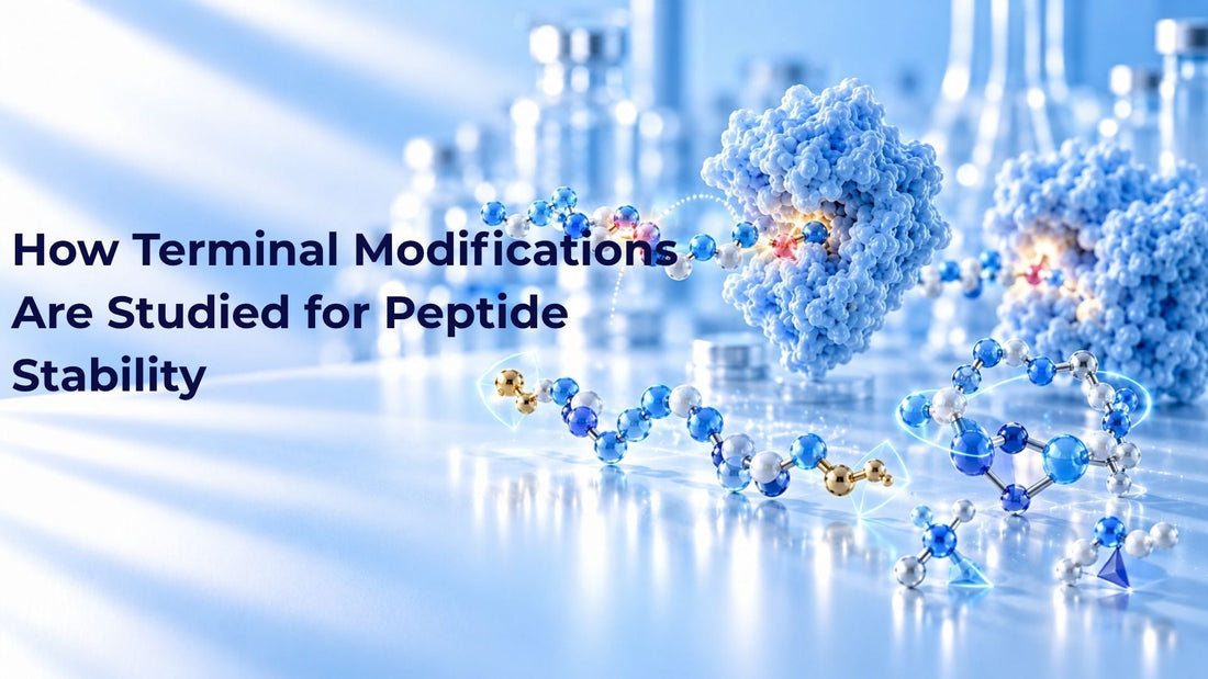 How Terminal Modifications Are Studied for Peptide Stability