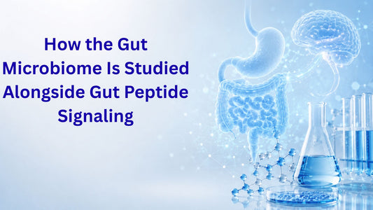 How the Gut Microbiome Is Studied Alongside Gut Peptide Signaling