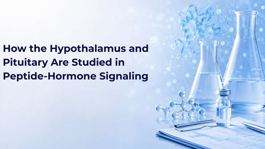 How the Hypothalamus and Pituitary Are Studied in Peptide-Hormone Signaling