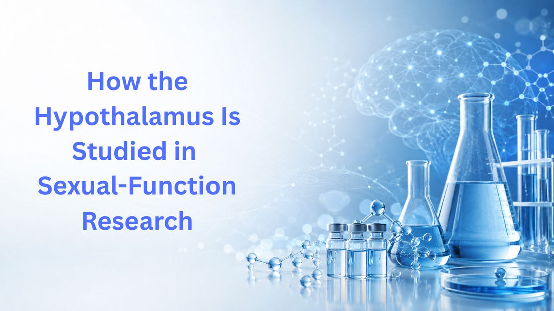 How the Hypothalamus Is Studied in Sexual-Function Research