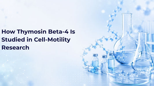 How Thymosin Beta-4 Is Studied in Cell-Motility Research