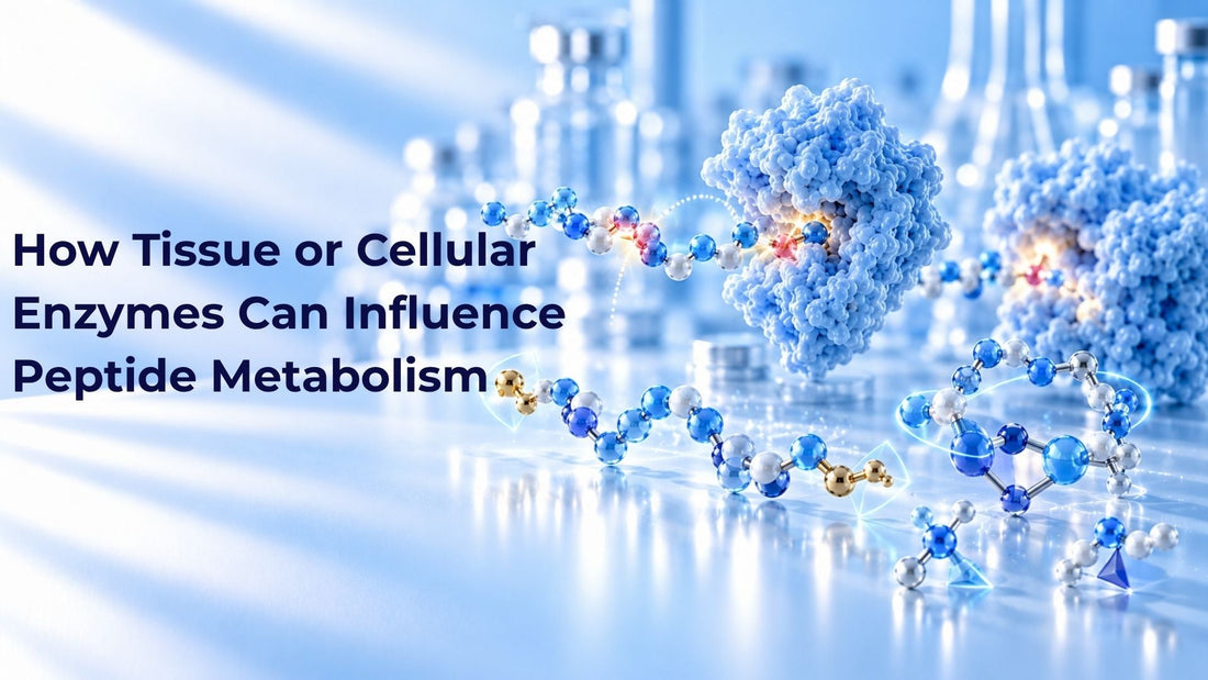 How Tissue or Cellular Enzymes Can Influence Peptide Metabolism