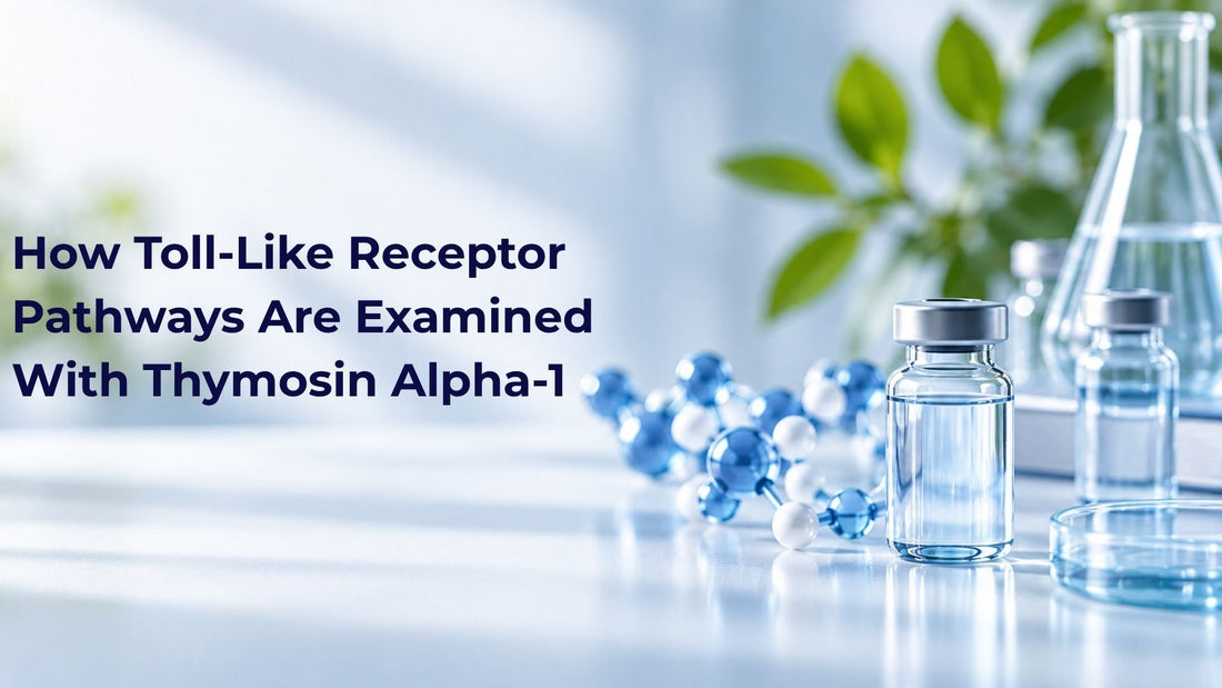 How Toll-Like Receptor Pathways Are Examined With Thymosin Alpha-1
