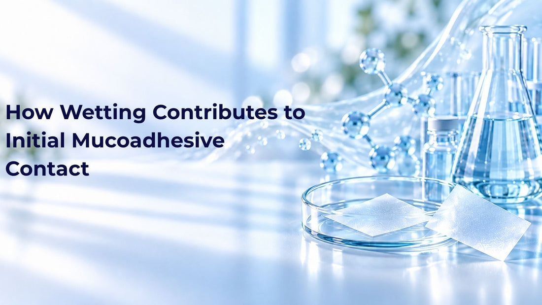 How Wetting Contributes to Initial Mucoadhesive Contact