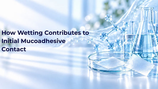 How Wetting Contributes to Initial Mucoadhesive Contact