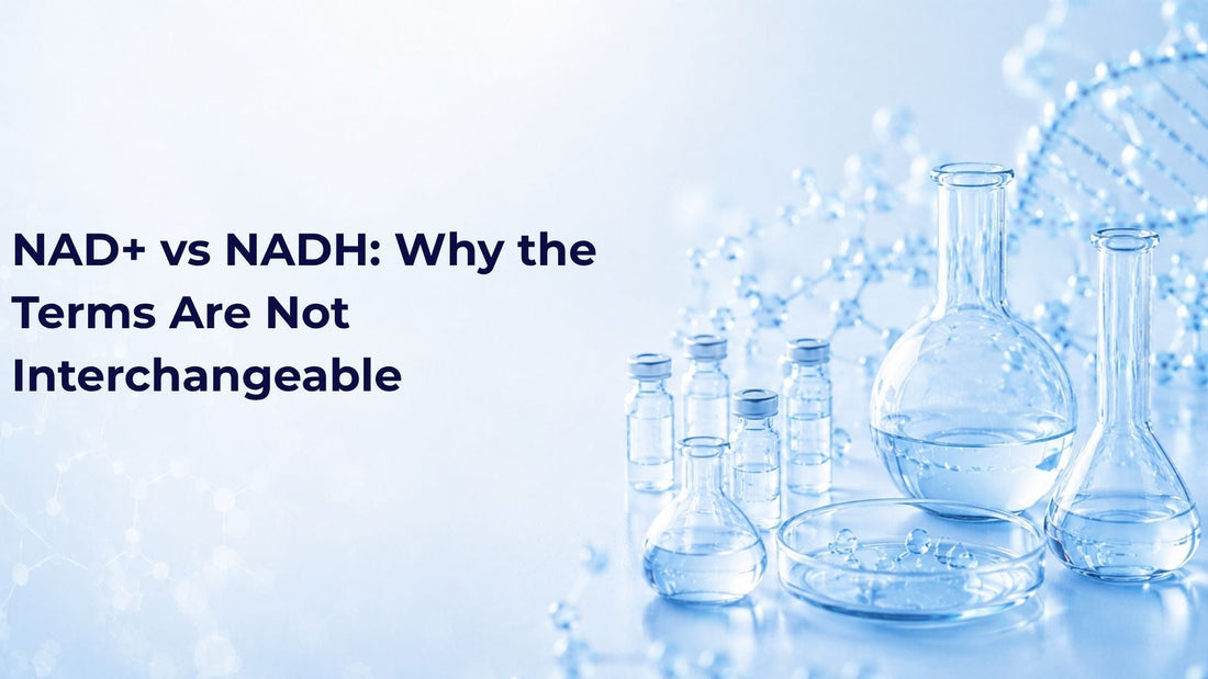 NAD+ vs NADH: Why the Terms Are Not Interchangeable