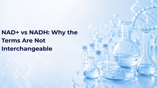 NAD+ vs NADH: Why the Terms Are Not Interchangeable