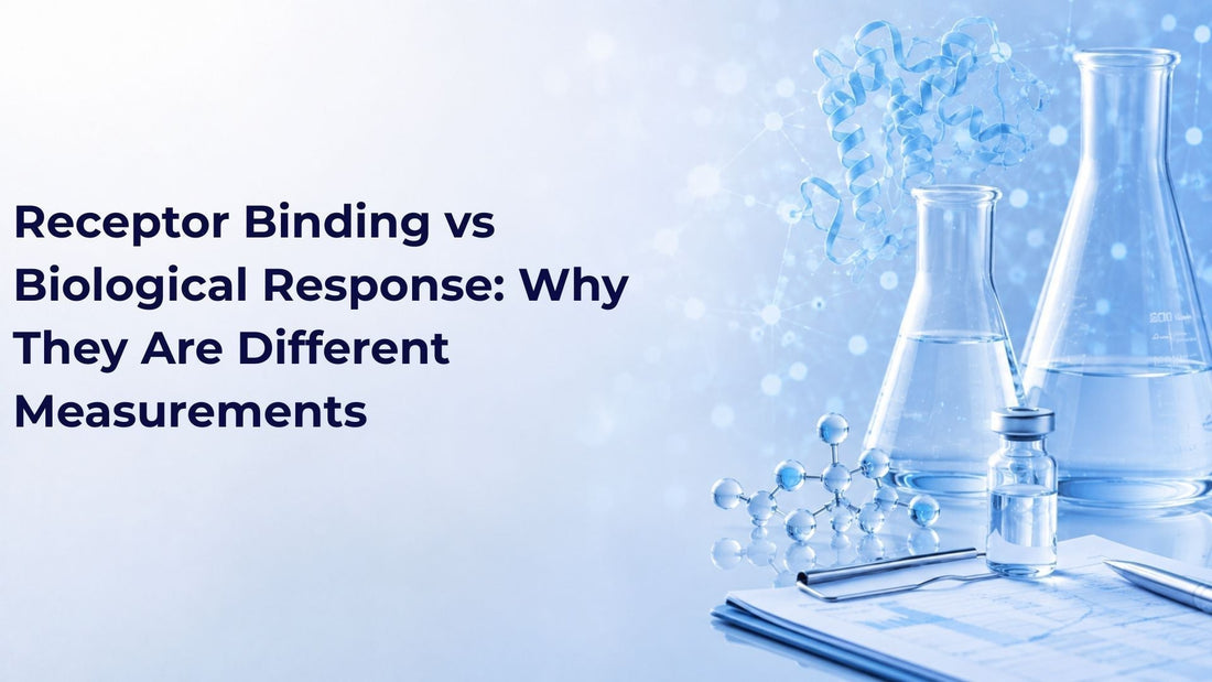 Receptor Binding vs Biological Response: Why They Are Different Measurements