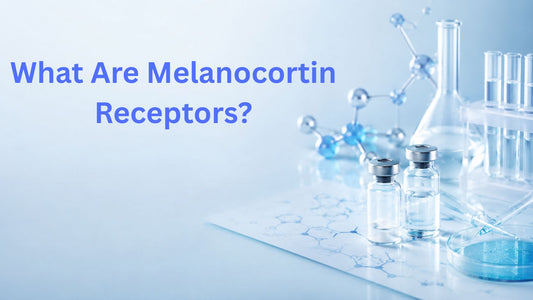 What Are Melanocortin Receptors?
