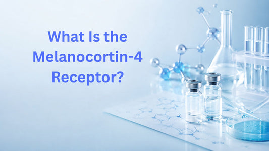 What Is the Melanocortin-4 Receptor?