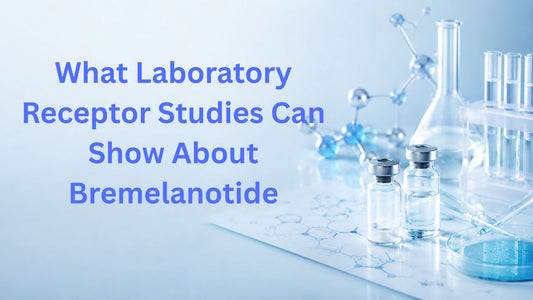What Laboratory Receptor Studies Can Show About Bremelanotide