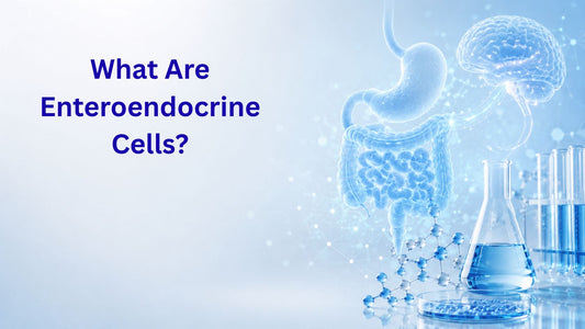 What Are Enteroendocrine Cells?