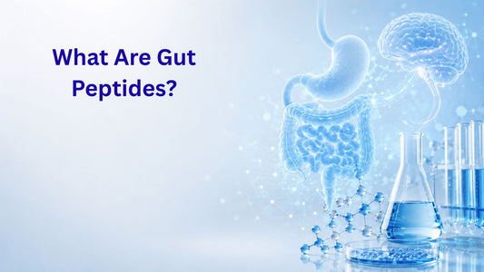 What Are Gut Peptides?