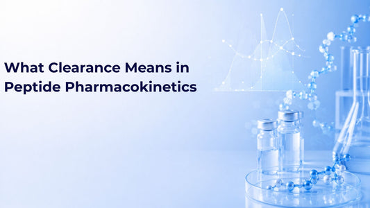 What Clearance Means in Peptide Pharmacokinetics