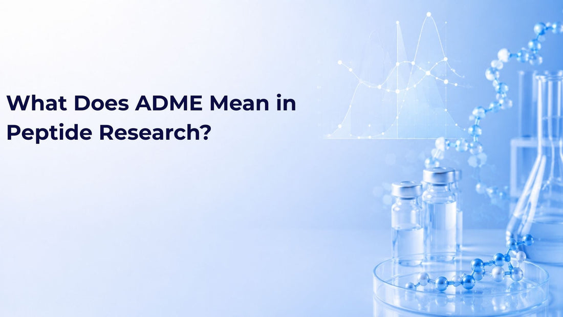 What Does ADME Mean in Peptide Research?