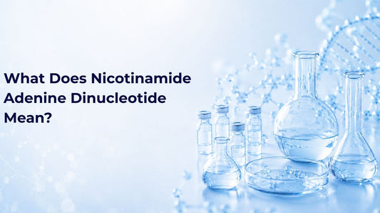 What Does Nicotinamide Adenine Dinucleotide Mean?