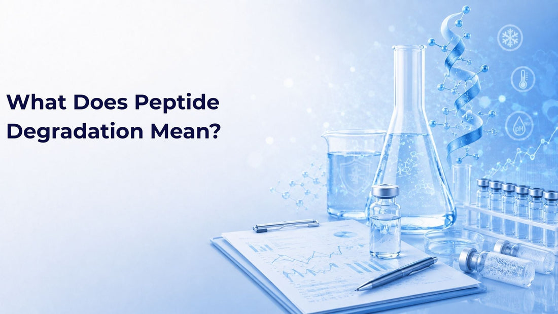 What Does Peptide Degradation Mean?