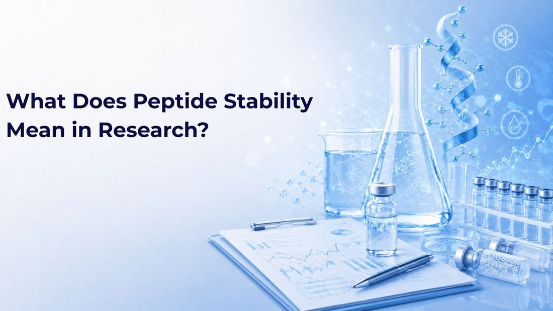 What Does Peptide Stability Mean in Research?