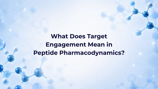 What Does Target Engagement Mean in Peptide Pharmacodynamics?