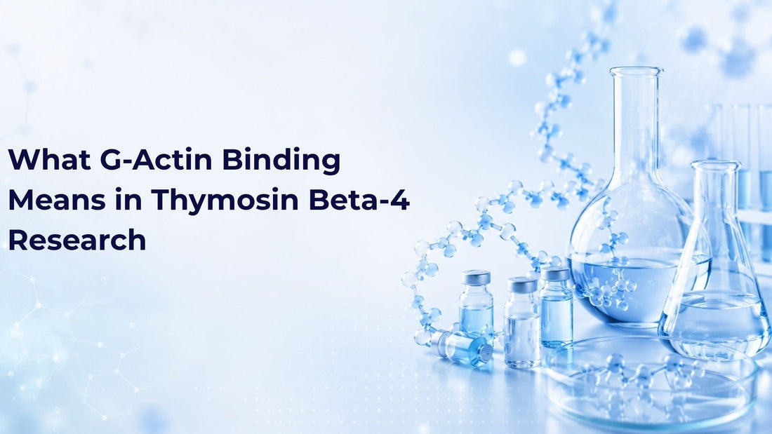 What G-Actin Binding Means in Thymosin Beta-4 Research