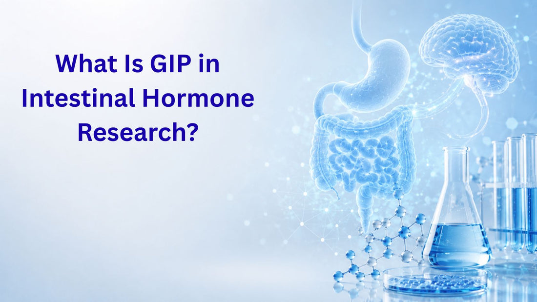 What Is GIP in Intestinal Hormone Research?