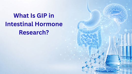 What Is GIP in Intestinal Hormone Research?