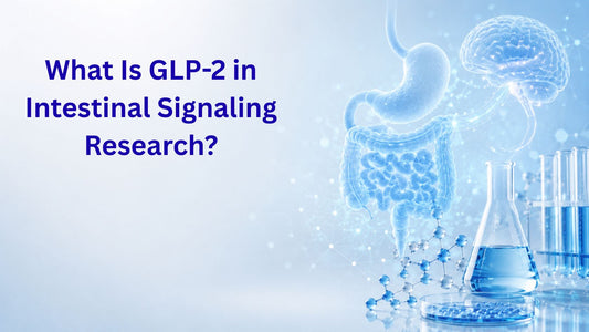 What Is GLP-2 in Intestinal Signaling Research?