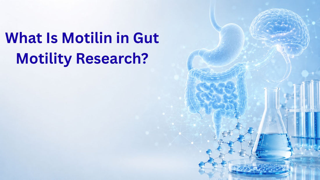 What Is Motilin in Gut Motility Research?