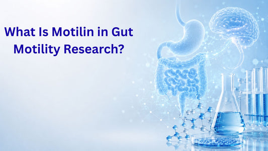 What Is Motilin in Gut Motility Research?