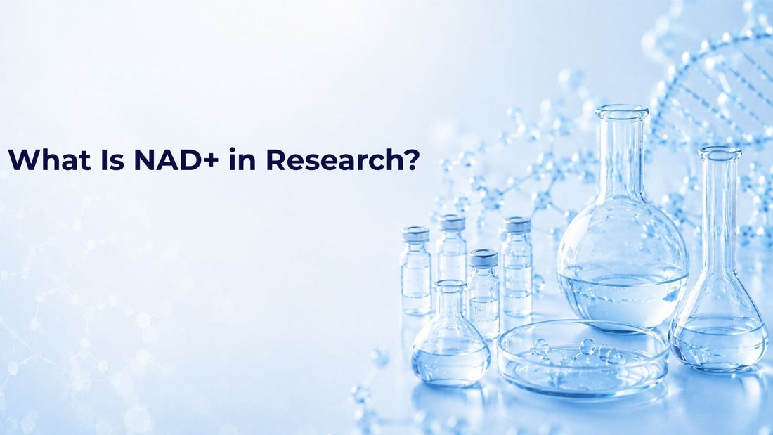What Is NAD+ in Research?