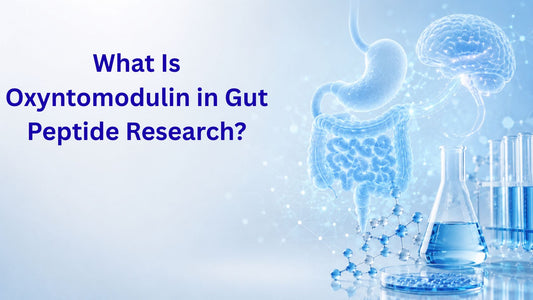 What Is Oxyntomodulin in Gut Peptide Research?