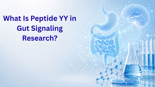 What Is Peptide YY in Gut Signaling Research?