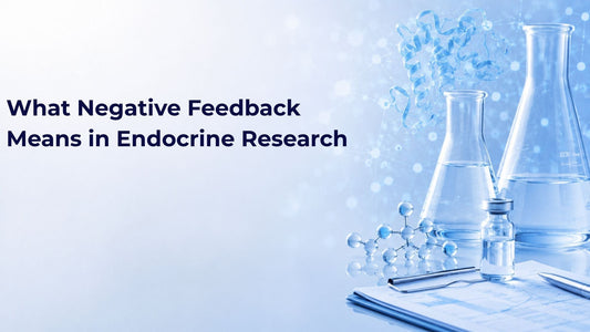 What Negative Feedback Means in Endocrine Research