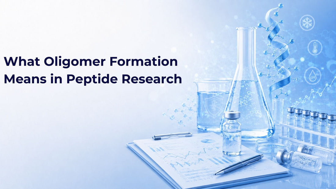 What Oligomer Formation Means in Peptide Research