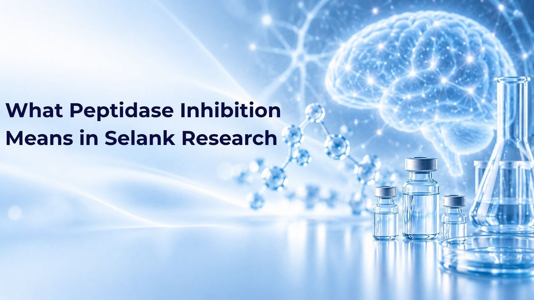 What Peptidase Inhibition Means in Selank Research