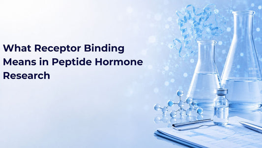 What Receptor Binding Means in Peptide Hormone Research