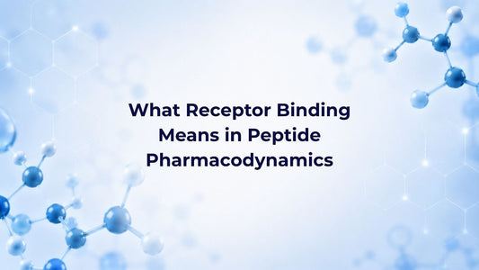 What Receptor Binding Means in Peptide Pharmacodynamics