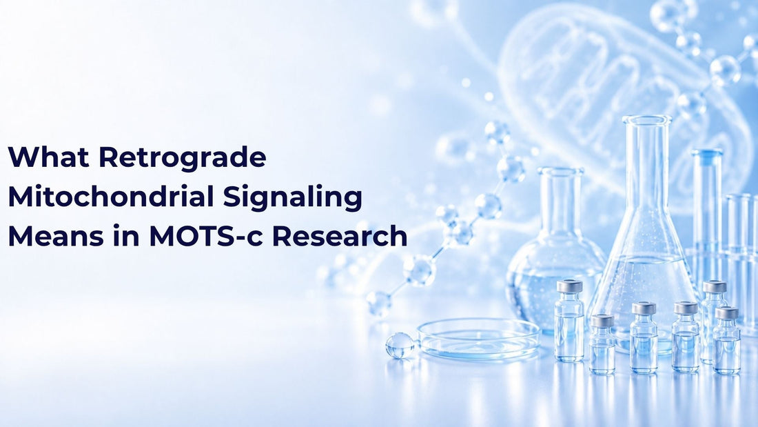 What Retrograde Mitochondrial Signaling Means in MOTS-c Research