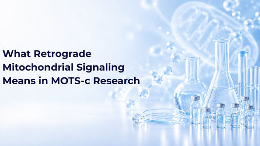 What Retrograde Mitochondrial Signaling Means in MOTS-c Research