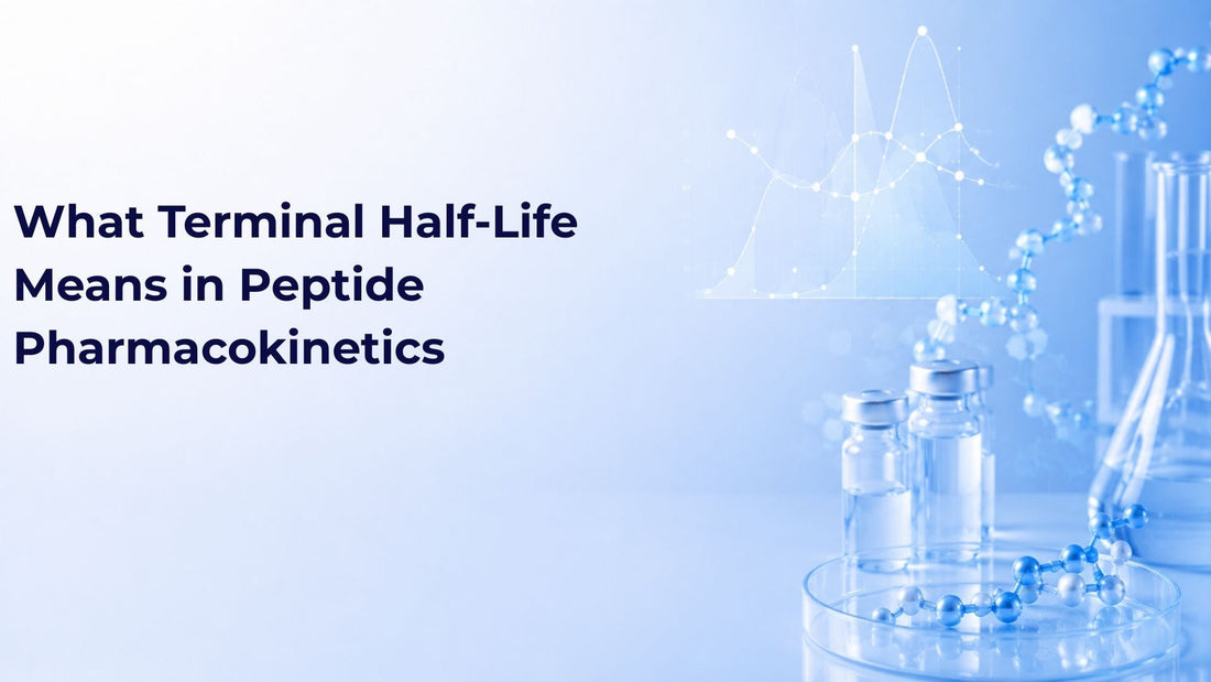 What Terminal Half-Life Means in Peptide Pharmacokinetics