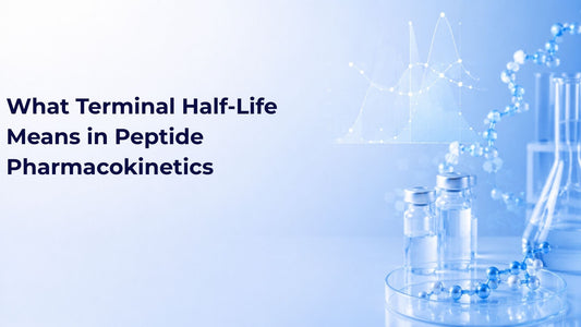 What Terminal Half-Life Means in Peptide Pharmacokinetics